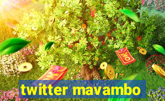 twitter mavambo